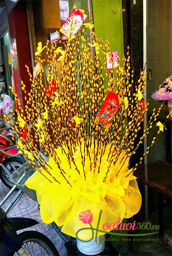 B&igrave;nh hoa nụ tầm xu&acirc;n tết đến rồi